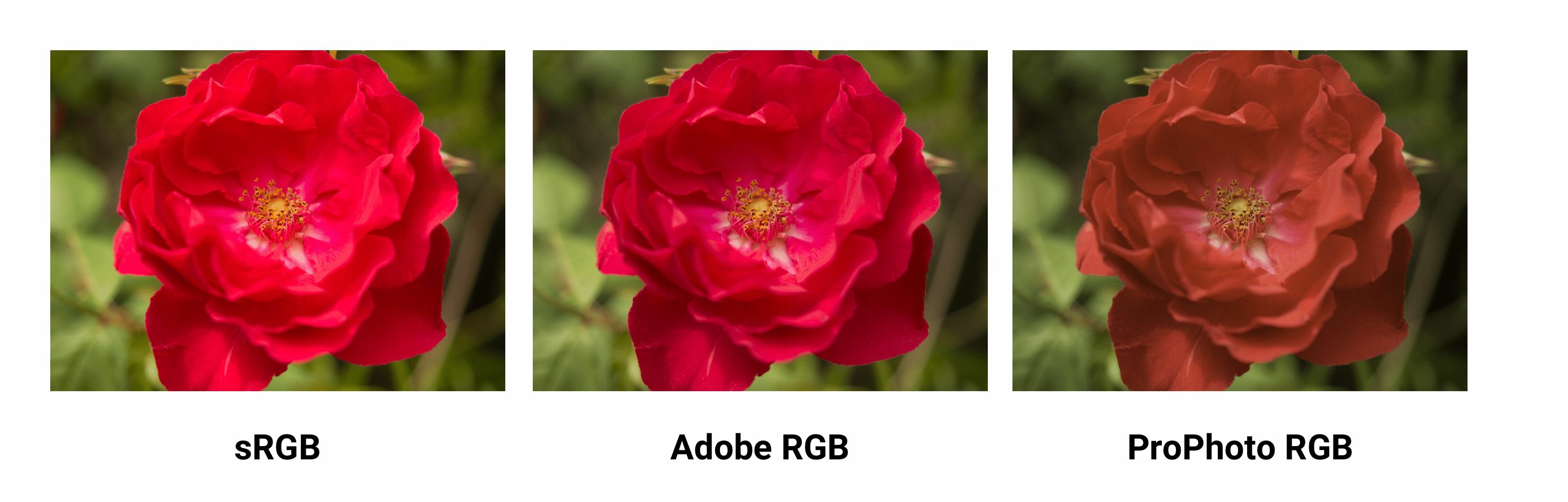 sRGB, Adobe RGB and ProPhoto RGB